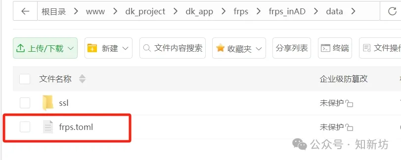 fnOS NAS通用内网穿透frp服务端、客户端、泛域名 宝塔、1panel搭建教程-第9张图片-资源分享