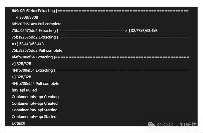 飞牛 使用docker部署IPTV-API自动获取直播源接口教程-第4张图片-资源分享