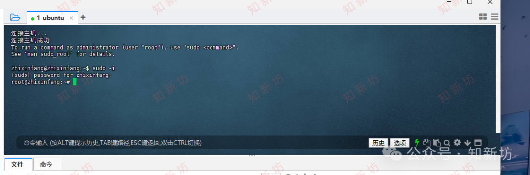 飞牛虚拟机部署 Ubuntu 环境：1Panel 和宝塔Web面板安装教程-第26张图片-资源分享