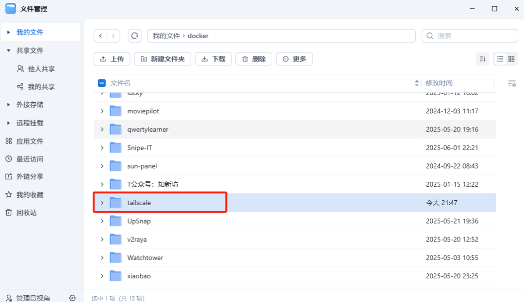 飞牛部署Tailscale 内网穿透部署教程，远程访问无压力-第9张图片-资源分享