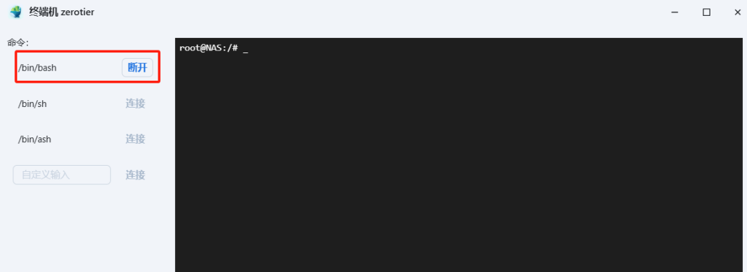 Docker 一键部署ZeroTier 教程：让飞牛 NAS 实现异地互联，无需公网 IP！-第11张图片-资源分享