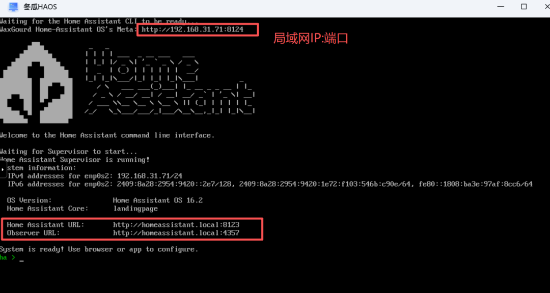 飞牛部署冬瓜HAOS：预装集成真香版，更懂国人的 Home Assistant-第18张图片-资源分享