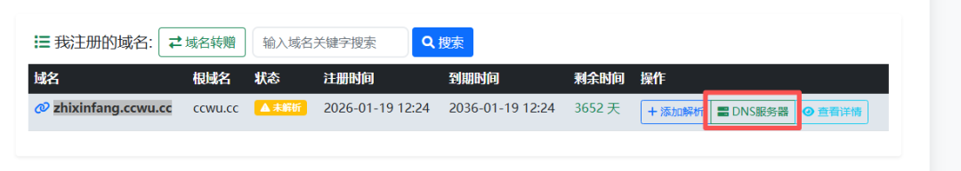 白嫖 10 年二级域名，飞牛 NAS、建站都能用-第14张图片-资源分享