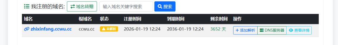 白嫖 10 年二级域名，飞牛 NAS、建站都能用-第7张图片-资源分享