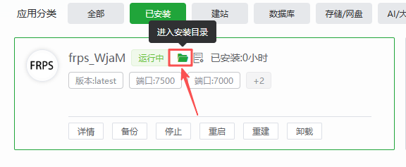 牛NAS frpc 客户端详细教程：接入 frps 服务端 + 泛域名一次搞定-第5张图片-资源分享